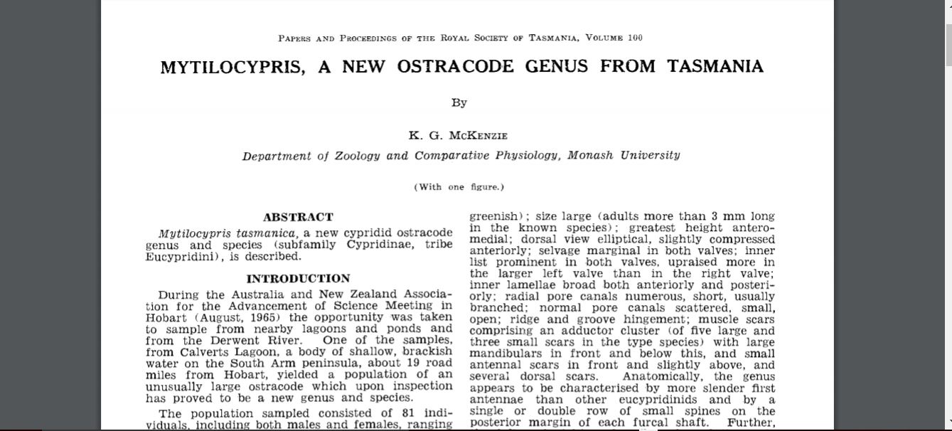 ostracode da determinare